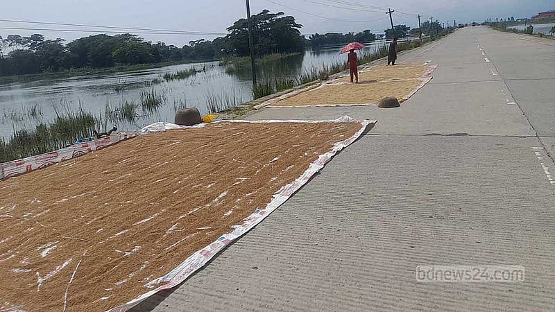 সিলেট-ভোলাগঞ্জ সড়কের বিভিন্ন স্থানে ধান শুকাতে দেখা গেছে। এছাড়াও সড়কে ত্রিপলের ছাউনি দিয়ে রাখা হয়েছে গবাদিপশু।