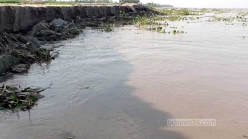 গাইবান্ধার ফুলছড়ি উপজেলার গজারিয়া এলাকায় তীব্র নদী ভাঙন দেখা দিয়েছে। 