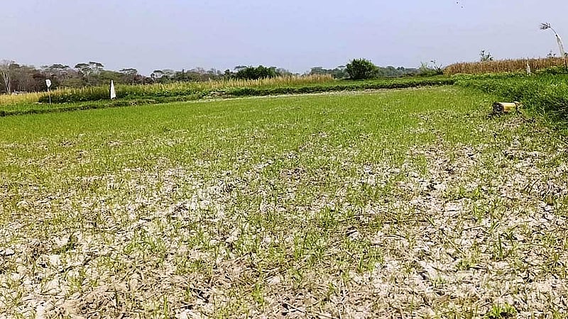 পদ্মা ব্যারেজ প্রকল্পে বৃহত্তর কুষ্টিয়া, ফরিদপুর, যশোর, খুলনা, বরিশাল, পাবনা ও রাজশাহী অঞ্চলের চাষযোগ্য ২৮ দশমিক ৮০ লাখ হেক্টর জমিতে সেচের পানি নিশ্চিত করার কথা বলা হচ্ছে।