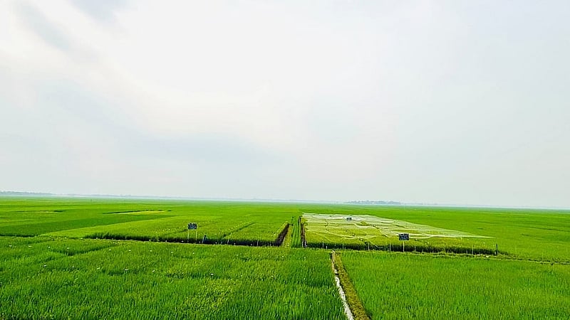 মালয় ভাষায় ‘সেকিন’ অর্থ একটি এবং ‘চান’ অর্থ ক্ষেত্র বা ব্যাপক। ধারণা করা হয়, এই নামটি এলাকার বিস্তৃত কৃষিক্ষেতের ইঙ্গিত দেয়, যা এই অঞ্চলের প্রধান বৈশিষ্ট্য।