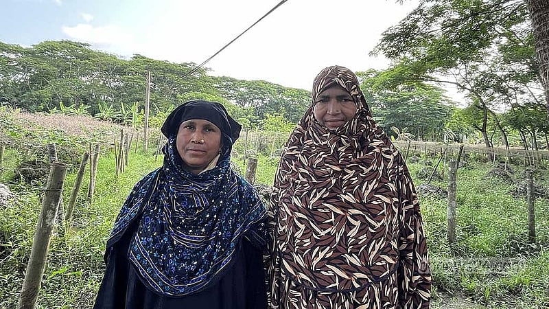 বোরহানউদ্দিনের নারীদের জীবনে কৃষি, সংসার আর জলবায়ু ঝুঁকির চাপ একসঙ্গে জড়িয়ে আছে।