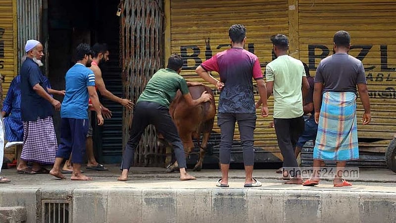 ফাইল ছবি