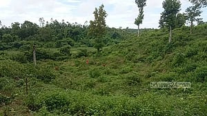 চট্টগ্রামের রাঙ্গুনিয়ায় বন বিভাগের এ জমি দখল করেছিলেন সাবেক পররাষ্ট্রমন্ত্রী হাছান মাহমুদের ভাই এরশাদ মাহমুদ। সরকার পতনের পর তা উদ্ধারে নেমেছে বন বিভাগ।