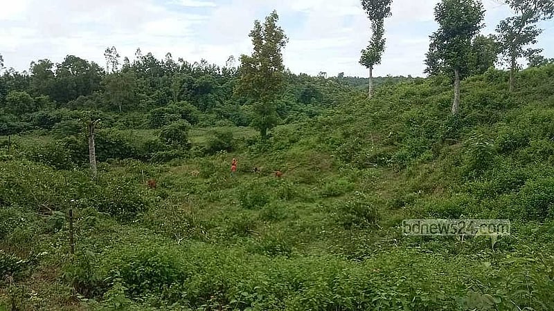 চট্টগ্রামের রাঙ্গুনিয়ায় বন বিভাগের এ জমি দখল করেছিলেন সাবেক পররাষ্ট্রমন্ত্রী হাছান মাহমুদের ভাই এরশাদ মাহমুদ। সরকার পতনের পর তা উদ্ধারে নেমেছে বন বিভাগ।