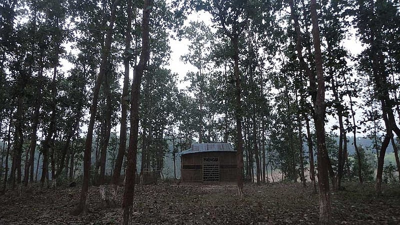 এককালের গভীর কুঞ্জবন কালীস্থান এখন কোনোরকমে টিকে আছে।