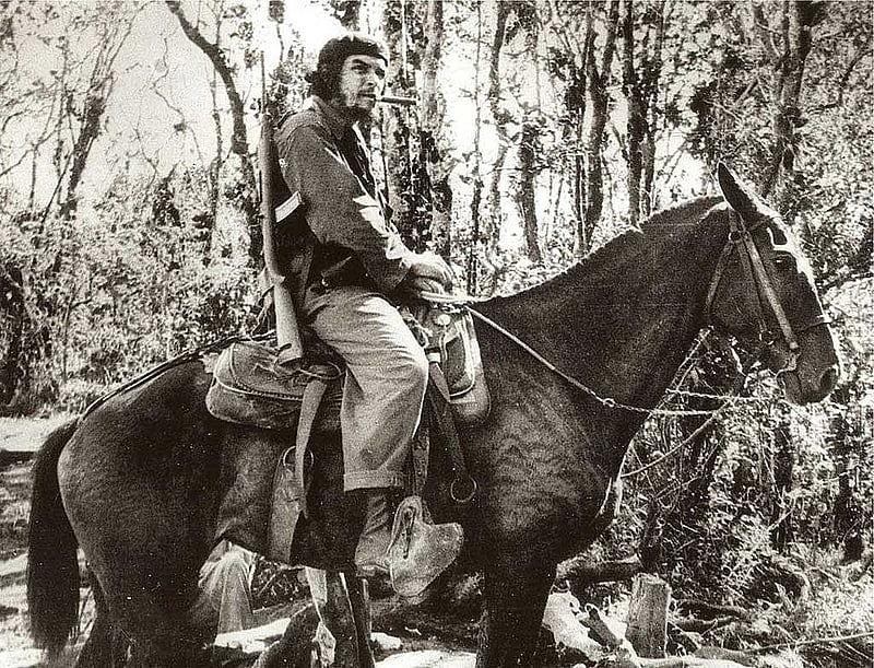 ঘোড়সওয়ার চে।