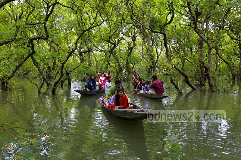 রাতারগুল। ছবি: মুস্তাফিজ মামুন।