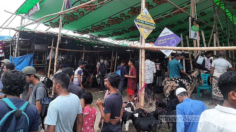 গাবতলী হাটে উঠেছে ছাগাল। 