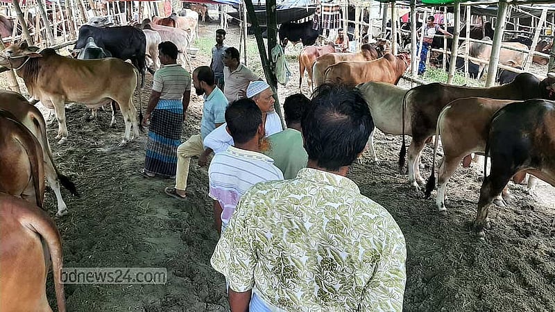 ৩০০ ফিট ও নীলা মার্কেটে বহু ক্রেতা বলেছেন, তাদের ধারণা শনি ও রোববার দাম কমবে। তাই তারা দাম শুনে চলে গেছেন হাট থেকে।
