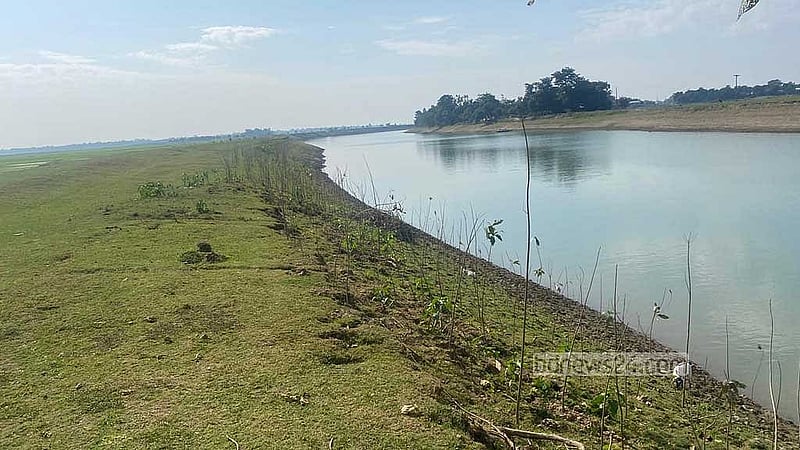 লাগানোর পর ছয় মাস বৃক্ষ বেঁচে থাকলে তবেই ঠিকাদার বিল পাওয়ার কথা। কিন্তু এখানেও সঠিক নজরদারি হচ্ছে না বলে অভিযোগ উঠেছে।