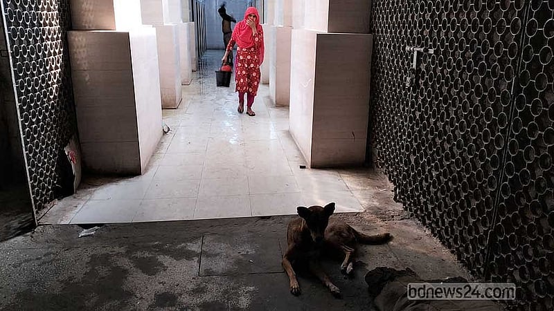 নাকে কাপড় চেপে শৌচাগার থেকে বের হচ্ছেন এক নারী। শৌচাগারের সামনেই বসে আছে কুকুর।