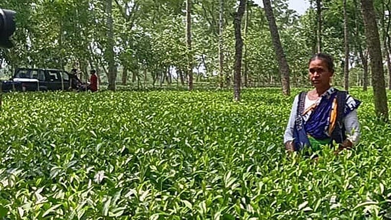 জেসমিন আক্তার