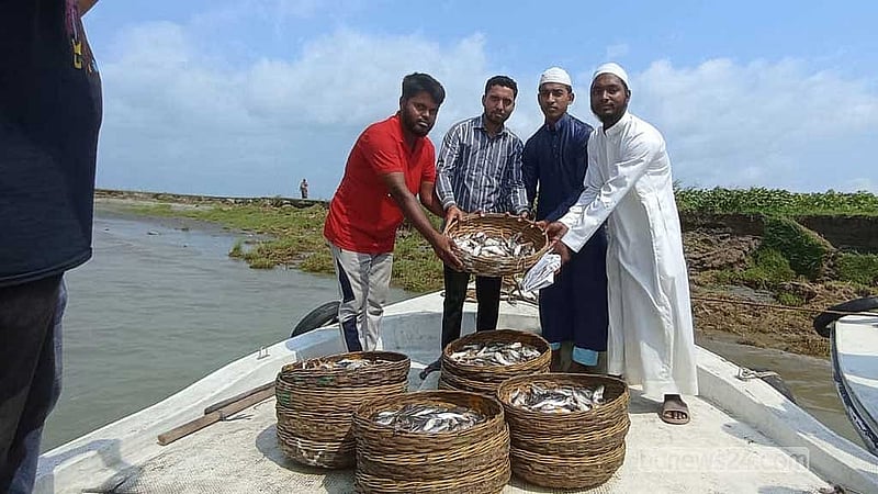 জব্দ করা চাঁই থেকে পাওয়া মাছ স্থানীয় মাদ্রাসা ও এতিমখানায় বিতরণ করা হয়।