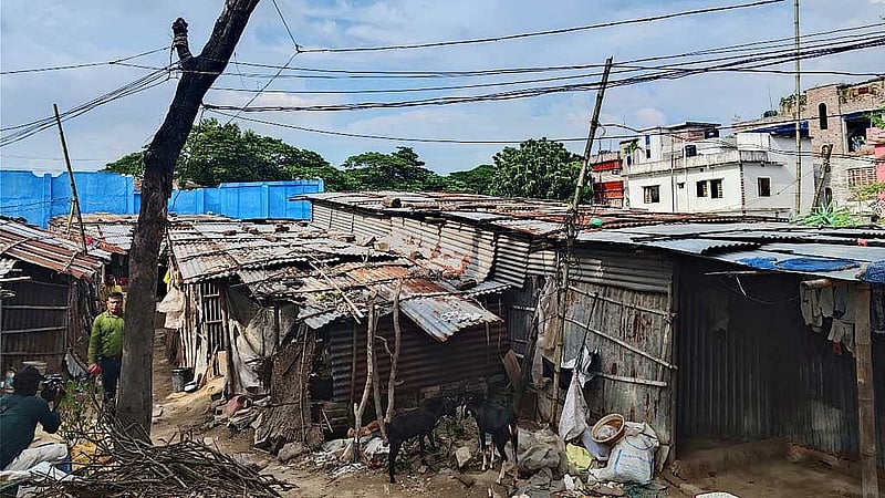 মোল্লাপাড়ার ১৬ কাঠা জমিতেই বাস করছে ১৬ পরিবার।