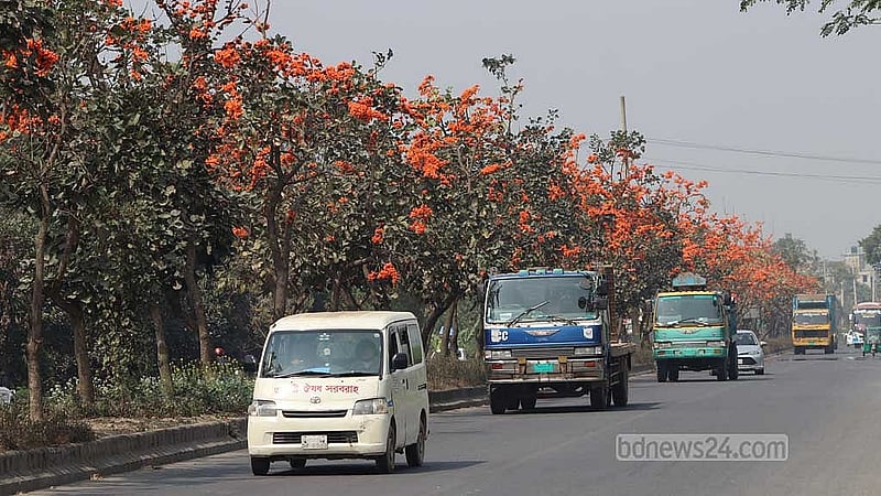 পলাশ ফুল মনে করিয়ে দেয় বসন্ত এসে গেছে।