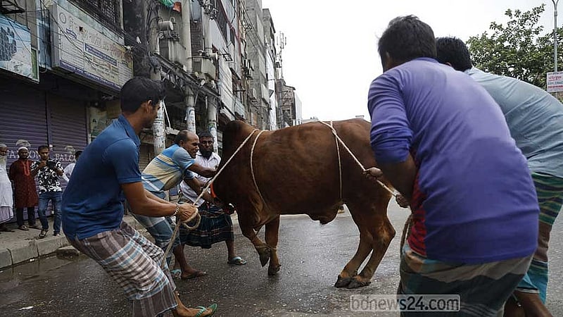 ফাইল ছবি