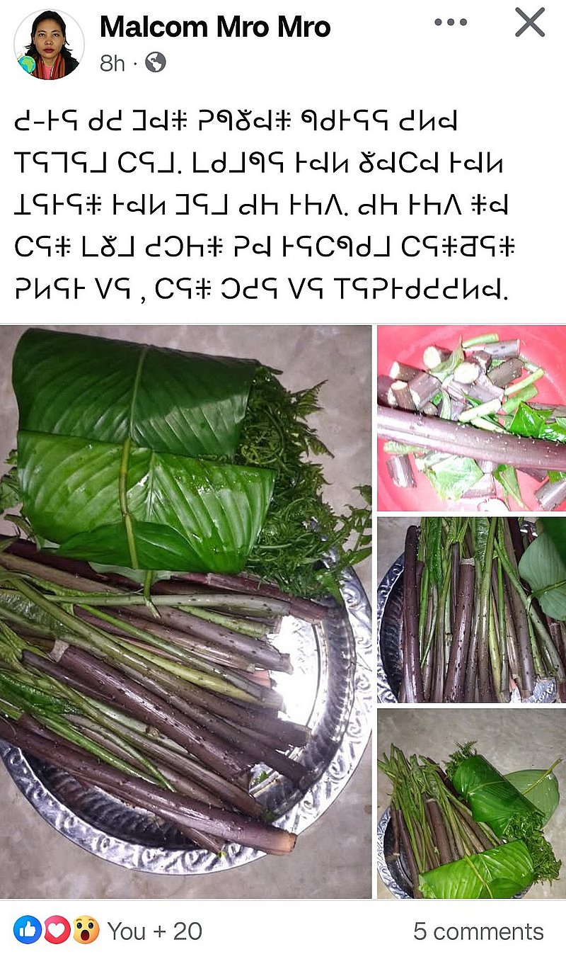 ম্রো ভাষায় ফেইসবুকের পোস্ট