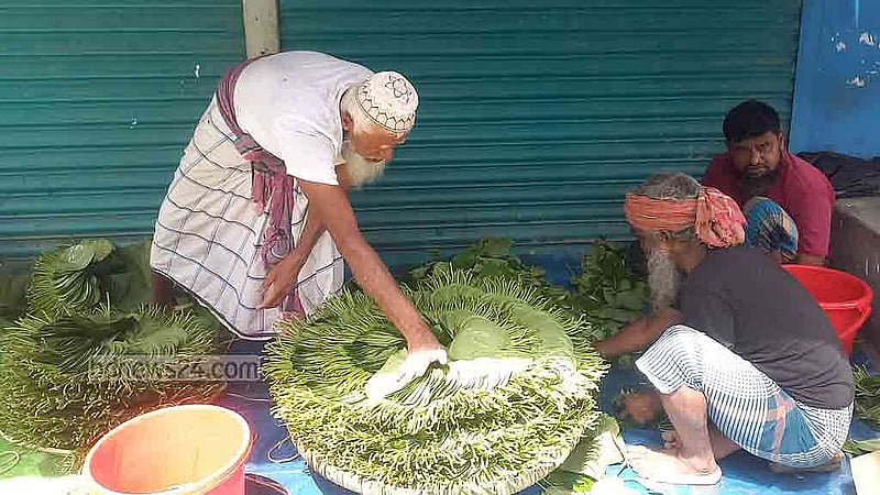 অপরিপক্ব পান কেটে বিক্রির জন্য সাজানো হচ্ছে উপজেলার বিভিন্ন সড়ক ও দোকানের সামনে।