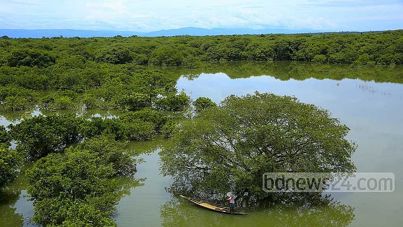 বর্ষা মৌসুমে সিলেটের রাতারগুলে পর্যটক বেশি দেখা যায়। এবার চিত্র ভিন্ন। 