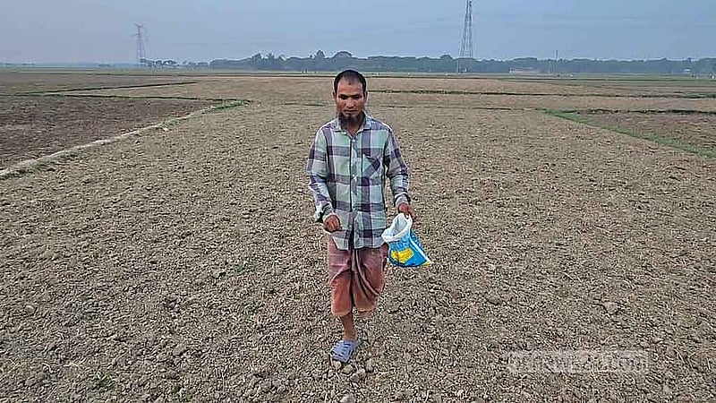 জমিতে পাটের বীজ বুনছেন এক চাষি।