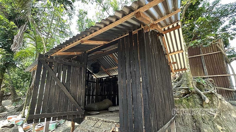 জলবায়ু অভিযোজনের অংশ হিসেবে বোরহানউদ্দিনের কোথাও কোথাও উঁচু মাচার ওপর ঘর তৈরি করে ছাগল পালনের ব্যবস্থা শেখানো হচ্ছে।