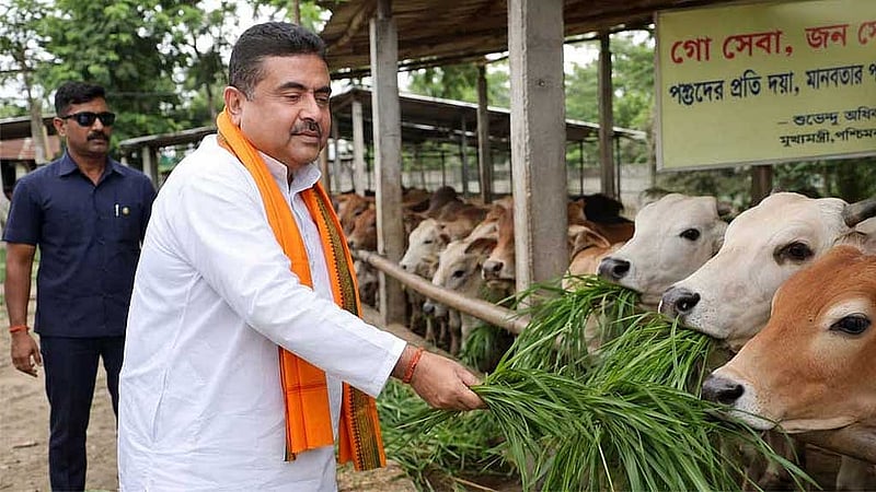 গো-মাংস ভক্ষণরত শুভেন্দু অধিকারীর ভিডিওর পাশাপাশি কৃত্রিম বুদ্ধিমত্তা ব্যবহার করে তৈরি গো-ভক্ত শুভেন্দু অধিকারীর ছবিও ছড়িয়ে পড়ছে বিভিন্ন মাধ্যমে।