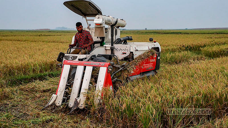 এবার ধান কাটতে হারভেস্টার মেশিন ব্যবহারের ফলে দ্রুত ফসল তোলা সম্ভব হয়েছে।