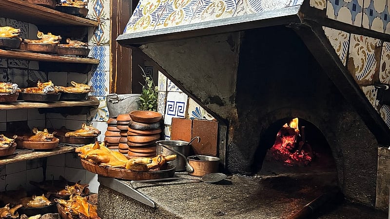 বোতিনের অবিরাম জ্বলতে থাকা গ্রানাইট পাথরের এই কাঠের উনুনটি এখন আর কেবল একটি উনুন নয়, যেন কোন জীবন্ত প্রত্নতাত্ত্বিক নিদর্শন, ছবি: স্মিথসোনিয়ান ম্যাগাজিন।