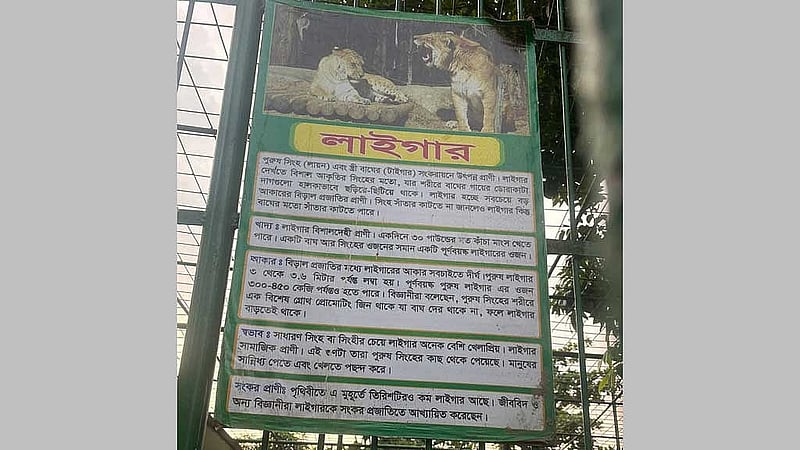 ছবি: বিকাশ কান্তি চৌধুরী