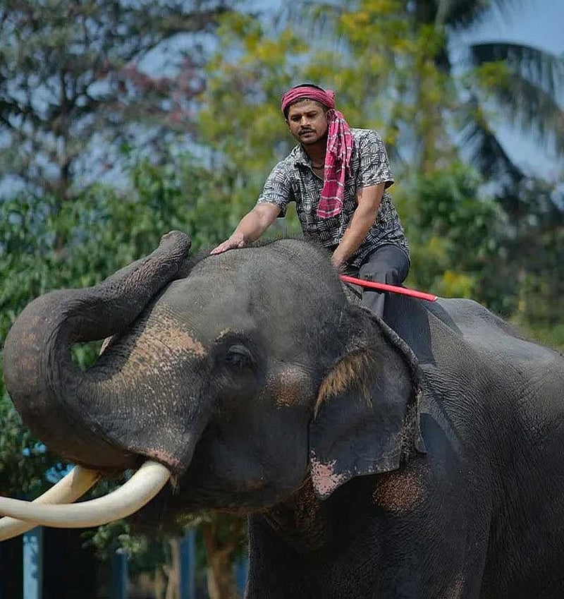 'নিহারকলি' নাটকের দৃশ্য, ছবি: নির্মাতার সৌজন্যে।  