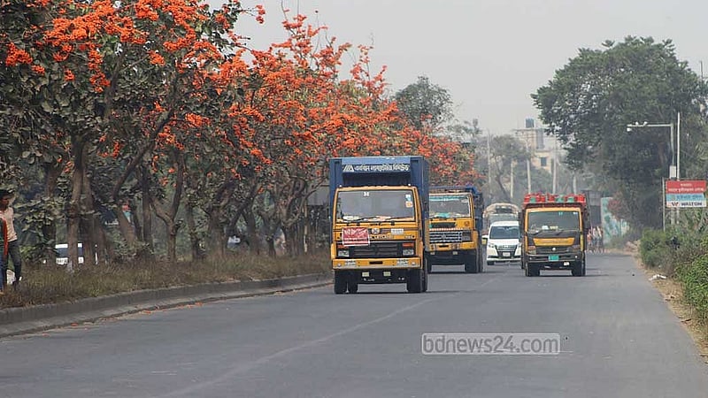 কুমিল্লার চৌদ্দগ্রাম উপজেলার মিয়াবাজার এলাকায় মুগ্ধতা ছড়াচ্ছে পলাশ।