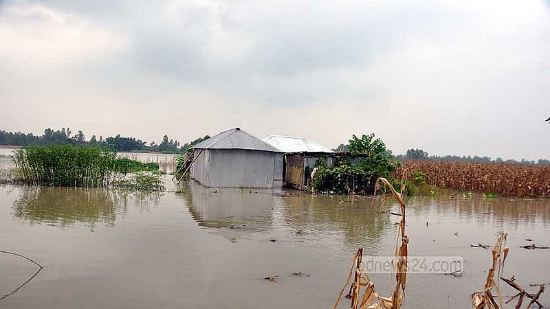 পীরগাছায় ডুবে গেছে নদী তীরবর্তী এলাকার বাড়িঘর। 