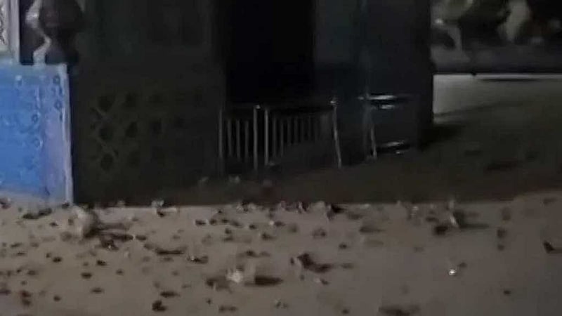 মাজার-ই-শরিফের ঐতিহাসিক স্থাপনা নীল মসজিদের চত্বরে ধ্বংসাবশেষ ছড়িয়ে আছে। ছবি: আল জাজিরা