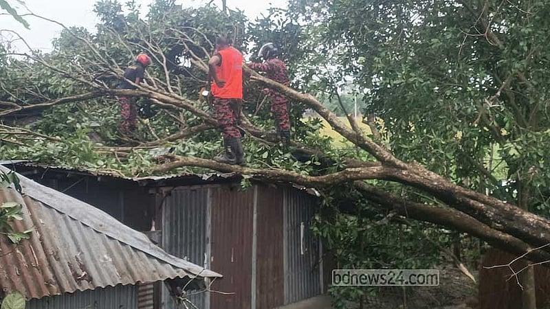 ঘরবাড়ির উপরে উপড়ে পড়া গাছপালা সরাতে কাজ করছে ডিমলা ফায়ার সার্ভিস স্টেশনের কর্মীরা।