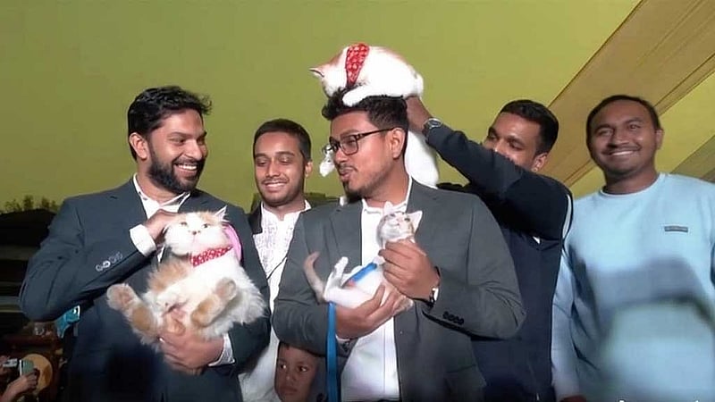 ডাকসু ভিপি সাদিক কায়েম নির্বাচনের আগে বেড়াল কোলে নিয়ে ছবি তুলে তার প্রজন্মের ভোটারদের কাছে প্রশংসিত হয়েছিলেন। ছবি: ভিডিও থেকে