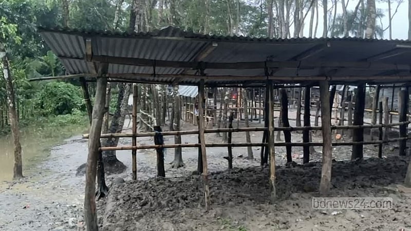 ঝালকাঠি সদর উপজেলার সুগন্ধিয়া পশুর হাটে গরু বাঁধার জন্য সারি সারি বাঁশ বেঁধে রাখা হয়েছে; কিন্তু সবই খালি পড়ে আছে। 