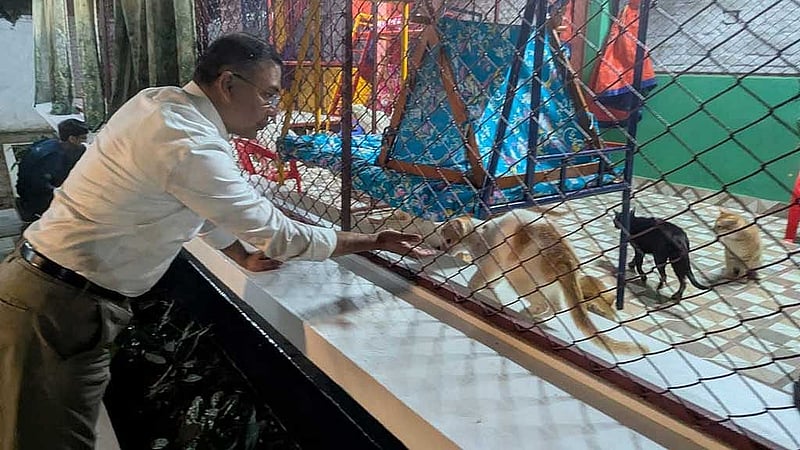 শ্বশুরবাড়িতে বিড়ালদের সঙ্গে তারেক রহমান।