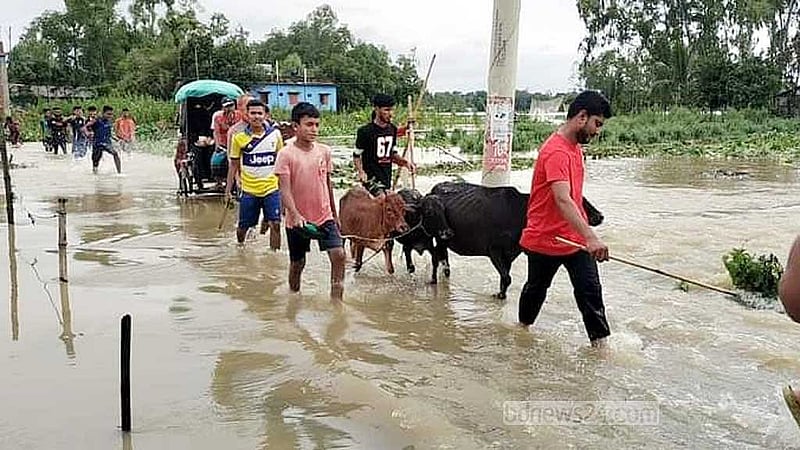 হবিগঞ্জে ১৪ হাজার পরিবার পানিবন্দি, আশ্রয়কেন্দ্রে ছুটছে মানুষ।