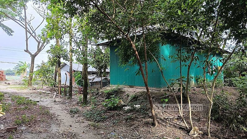 নোয়াখালীর সুবর্ণচরের মধ্য চরবাটা গ্রামে সাজেদুলের বাড়ি।