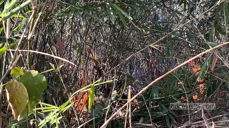 প্রথমে লাউয়াছড়া সংলগ্ন হীড বাংলাদেশের পরিত্যাক্ত বনজ টিলায় আগুন লাগে। পরে তা দ্রুত উদ্যানের বাঘমারা এলাকায় ছড়িয়ে পড়ে।  
