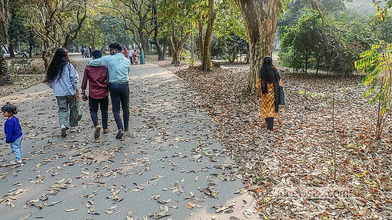 রাজধানীর রমনা পার্কে ঝরাপাতার সৌন্দর্য উপভোগ করছেন দর্শনার্থীরা। শীতের শেষে সেখানে বেড়েছে দর্শনার্থীর আগমন