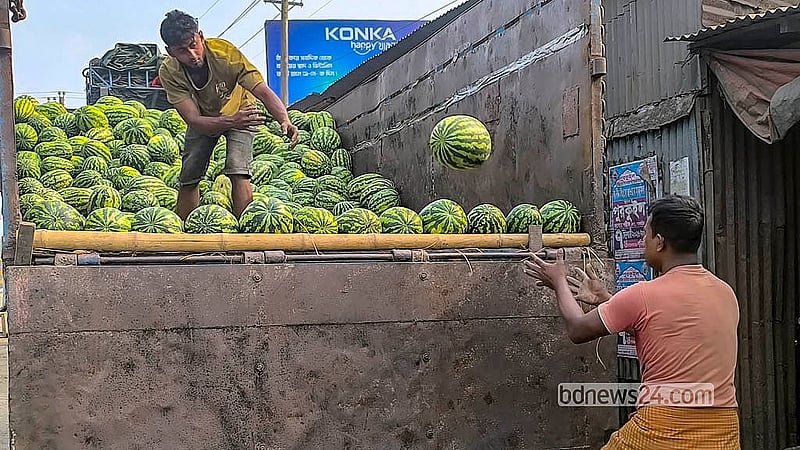 ট্রাক থেকে তরমুজ নামছে মাদারীপুরের মস্তফাপুর ফলের আড়তে। এখানে প্রতিকেজি তরমুজের পাইকারি দর ২৫ থেকে ৩০ টাকা