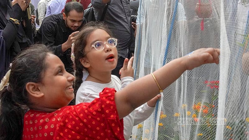 জালের তৈরি ঘরে প্রজাপতি দেখছে শিশুরা। জাহাঙ্গীরনগর বিশ্ববিদ্যালয়ে শুক্রবার অনুষ্ঠিত হয়েছে প্রজাপতি মেলা। ছবি: আরিফুর রহমান
