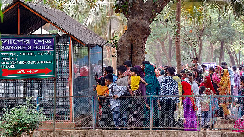 মিরপুর চিড়িয়াখানায় ঈদের পরদিন মঙ্গলবার সাপের খাঁচার সামনে দর্শনার্থীদের ভিড়। ছবি: মাহমুদ জামান অভি