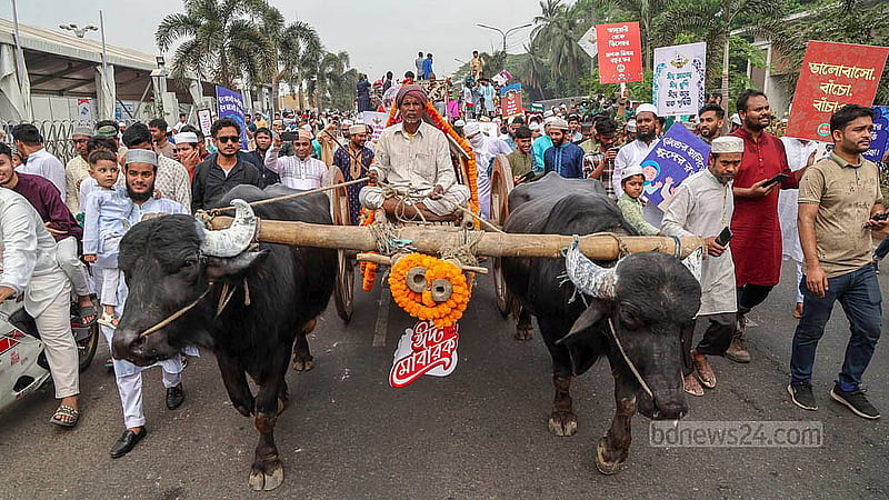 রাজধানীতে ঈদ আনন্দ মিছিলে গ্রামীণ আবহ আনতে মহিষের গাড়ি। ঢাকা উত্তর সিটি করপোরেশন আয়োজিত এ শোভাযাত্রা আগারগাঁও হয়ে খামার বাড়ি মোড় পেরিয়ে মানিক মিয়া এভিনিউয়ে সংসদ ভবনের দক্ষিণ প্লাজায় গিয়ে শেষ হয়।