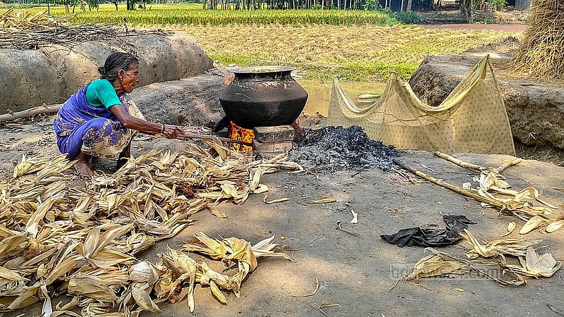 গাইবান্ধার সদর উপজেলার তালুক মন্দুয়ার এলাকার একটি বাড়িতে বোরো ধান সিদ্ধ করছেন এক নারী। ছবি: তাজুল ইসলাম রেজা