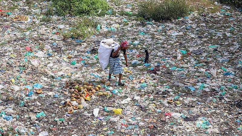 ঢাকার দক্ষিণ কেরানীগঞ্জের শুভাঢ্যা খাল এখন পরিণত হয়েছে ভাগাড়ে। ছবি: আব্দুল্লাহ আল মমীন