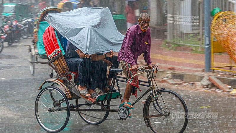 বৃহস্পতিবার বিকেলে ঢাকা বিশ্ববিদ্যালয় এলাকায় ঝুম বৃষ্টির মধ্যে যাত্রী নিযে চলছেন এক রিকশা চালক।
