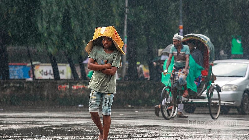 ঢাকা বিশ্ববিদ্যালয় এলাকায় বৃহস্পতিবার দুপুরে বৃষ্টির মধ্যে মাথায় কার্টন দিয়ে হেঁটে যাচ্ছে এক শিশু। ছবি: মাহমুদ জামান অভি