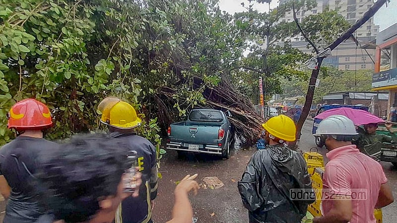 ২৭ মে ২০২৪: ঘূর্ণিঝড় রেমালের প্রভাবে ঢাকায় দিনভর প্রবল বাতাসের সঙ্গে ঝরে বৃষ্টি; স্থবির হয়ে পড়ে জনজীবন। তীব্র বাতাসে রাজধানীর বিভিন্ন জায়গা ও সড়কে উপড়ে পড়েছে গাছপালা, যান চলাচল বিঘ্নিত হয়।